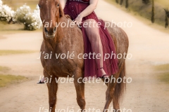 Galerie14
