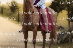 Galerie4