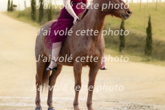 Galerie8